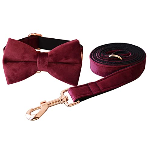 Hundeleine, Hundehalsband, Nylon, personalisierbar, Leine, Geschirr, Scheiße, Tasche, Set mit Hundehalsbändern, bedruckt, verstellbar, für Haustiere, Gürtel für Hunde (20 – 29 cm) von FENGJISUN