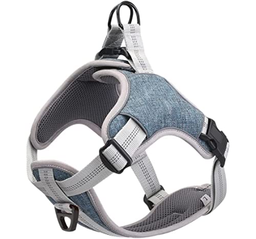 Hundeleine, Nylon, Ripstop, verstellbar, reflektierend, weiches Material, kleine und große Hunde, Haustierleine (Blau, 30–40 cm) von FENGJISUN