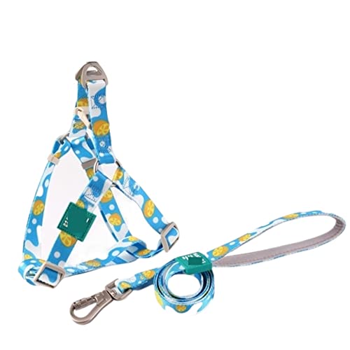 Hundeleine, Polyester, Hundehalsband, Gurt-Set, personalisierbar, Brustgurt, Zugseil, Sicherheitsgurt, Haustierleine (Blau, 42–57 cm) von FENGJISUN