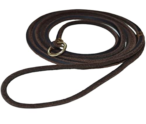 Hundeleine, Schlupfhalsband, echtes Leder, Hundeseil, Welpen, Traktion, verstellbare Leine, Haustier-Leine von FENGJISUN