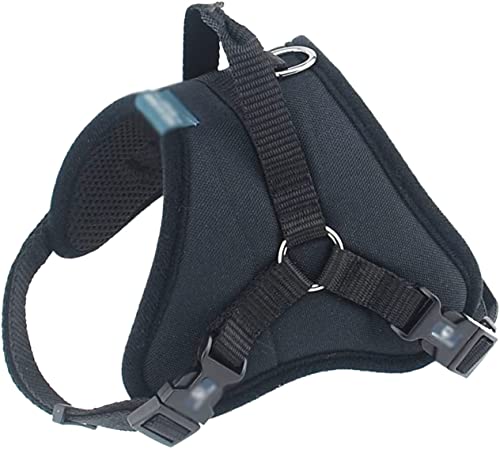 Hundeleine, atmungsaktives Netz-Halsband, Zubehör, Hundepolsterung, verstellbarer Sicherheitsgurt, geeignet für Hunde, Haustierleine (Schwarz, 34–48 cm) von FENGJISUN