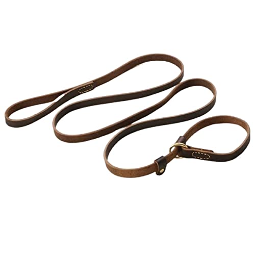 Hundeleine, große Hundeleine, Schlupfhalsband für Haustiere, Zugleine aus echtem Leder für Hunde, weiche Hundeleine (1,8 x 180 cm) von FENGJISUN
