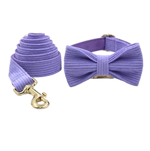 Hundeleine, leicht und weich, Halsband für Haustiere, Cordhalsband für Haustiere, reflektierende Leine, Set für Hunde, weiche Hundeleine (31-41 cm) von FENGJISUN