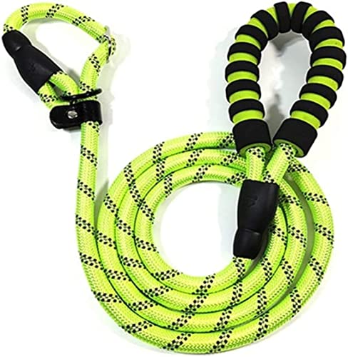 Hundeleine, verstellbar, für Haustiere, 2-in-1, gepolsterter Griff, reflektierend, rutschfest, für Hunde, Trainingsleine für Hunde, weich, Grün, 1 x 140 cm Hundeleine, verstellbar, für Haustiere, 2-in-1, gepolsterter Griff, reflektierend, rutschfest, für Hunde, Trainingsleine für Hunde, weich, Grün, 1 x 140 cm von FENGJISUN