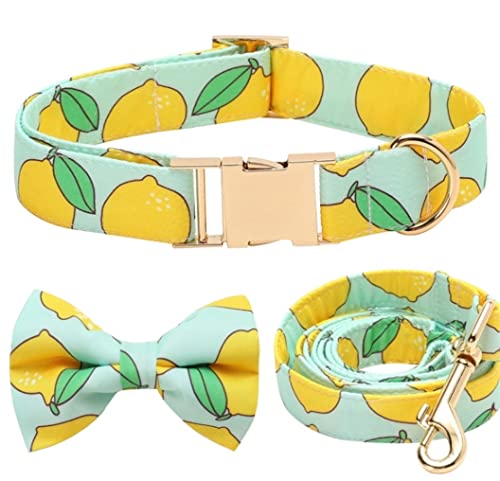 Hundeleine Abnehmbare Und Verstellbare Hundehalsband Für Haustiere Komfortable Halsband Pet Liefert Weiche Halsband Hundeleine Verstellbare(20-30cm) von FENGJISUN