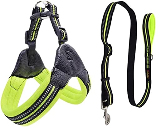 Hundeleine Atmungsaktive Nylon Hundegeschirr Reflektierende Verstellbare Hundegeschirr Und Leine Set Für Hunde Haustierleine Hundeleine Verstellbare(Grün,70-75cm) von FENGJISUN