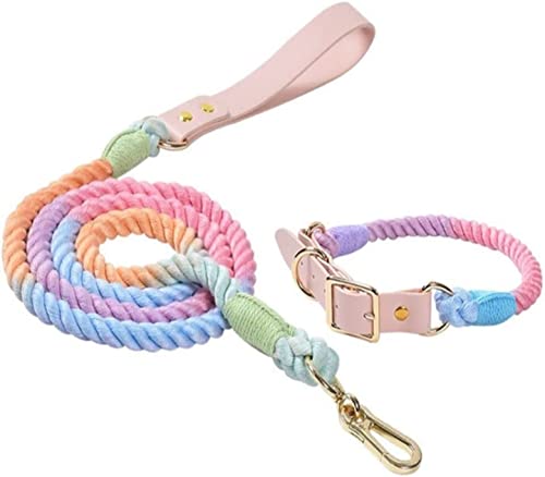 Hundeleine Farbe Halsband Hundeleine Geeignet Für Kleine, Mittlere Und Große Hunde Im Freien Wandseil Hundeleine Verstellbar(A,35-41cm) von FENGJISUN