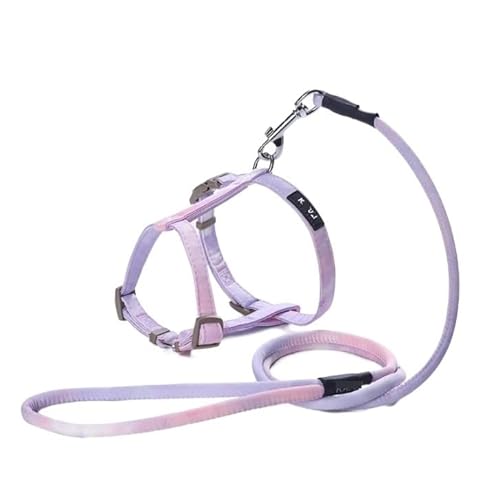 Hundeleine Haustier Traktion Seil Brust Harness Kragen Set Niedlich Medium Und Große Seil Sicher Und Langlebig Zugseil Hundeleine Verstellbar(Lila,15-20cm) von FENGJISUN