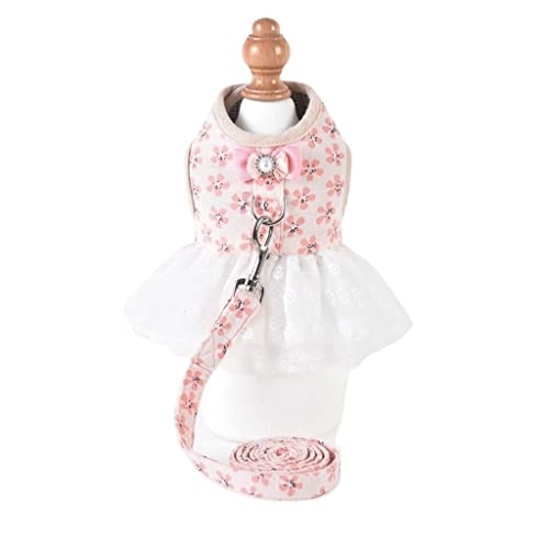 Hundeleine Hund Kleid Geschirr und Leine Set 6 Farbe Mädchen Junge Haustier Welpen Kleine Tiere Halsband Walking Blei Waren Hundeleine Verstellbare(Pink,16-21cm) von FENGJISUN