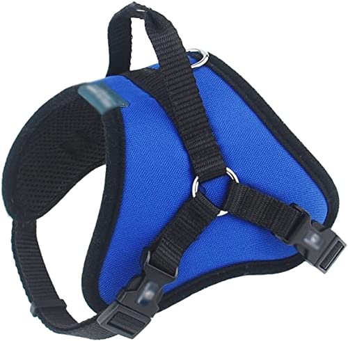 Hundeleine Hund Weste Atmungsaktive Mesh Kragen Zubehör Hund Polsterung Verstellbarer Sicherheitsgurt Geeignet Für Hunde Hundeleine Verstellbar(Blue,59-88cm) von FENGJISUN