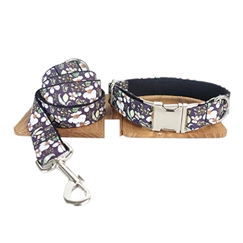 Hundeleine Hundehalsband Und Leine Set Designer Halsband Für Haustiere Mit Schleife Schnellverschluss Einstellbar Hundehalsband Wanderleine Hundeleine Verstellbare(23-30cm) von FENGJISUN
