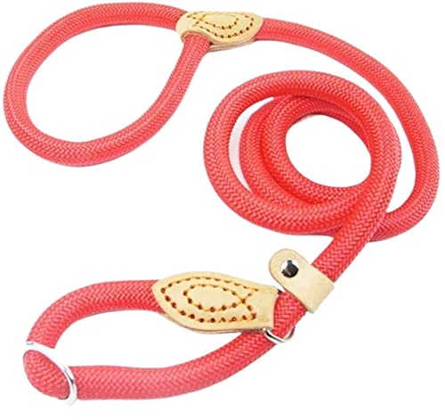 Hundeleine Kette Hund Leine Slip Kragen Walking Führt Nylon Hund Bergsteigen Seil Welpen Haustier Traktion Für Hunde Hundeleine Verstellbare(Rot,10mm*1,5m) von FENGJISUN
