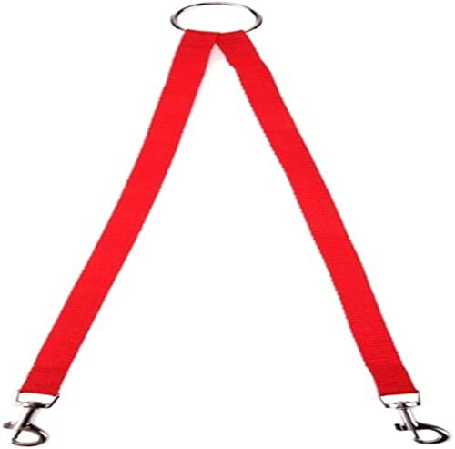 Hundeleine Nylon Hund Kupplungsleine Leine Wanderleine Zugseil Für Zwei Hunde Kragen Führende Welpen Gürtel Hundeleine Verstellbare(Rot,2,5 * 45cm) von FENGJISUN