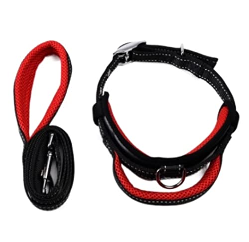Hundeleine Nylon Hundehalsband Set Einstellbare Trainingsleinen Kleine Mittelgroße Hunde Sicherheitsleine Halsbänder Hundeleine Verstellbare(Rot,2.5cm*120cm) von FENGJISUN