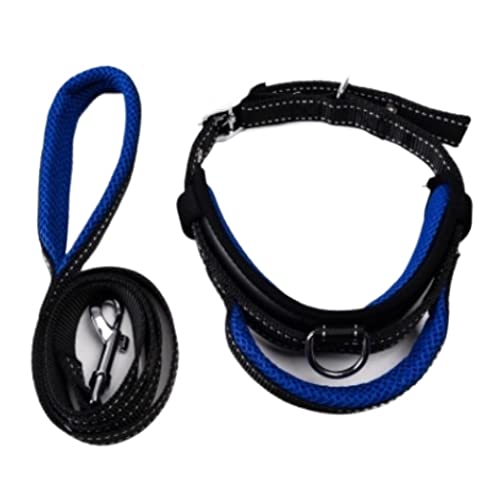 Hundeleine Nylon Hundehalsband Set Verstellbare Trainingsleinen Kleine Mittlere Hunde Sicherheitsleine Halsbänder Hundeleine Verstellbar(Blue,3,0cm*120cm) von FENGJISUN