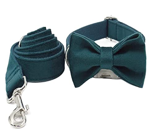 Hundeleine Verstellbares Tierhalsband mit Halsband und Hundeleine Haustierleine (37-60cm) von FENGJISUN