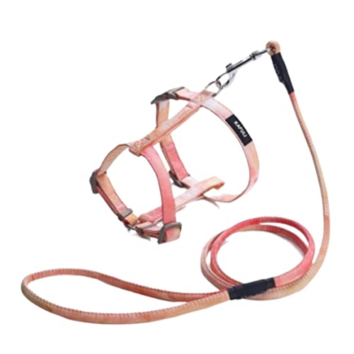 Hundeleine Zugseil Anti-Break Weg,Seil Wanderweste Typ Versenkbare Kette Kragen Pet Liefert Hundeleine Verstellbare(Orange,15-20cm) von FENGJISUN