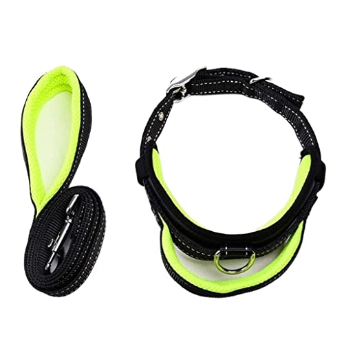 Hundeleine aus Nylon für Hunde und Haustiere, verstellbare Trainingsleinen, Sicherheitshalsbänder für kleine und mittelgroße Hunde, weiche Hundeleine (Grün, 2,0 cm x 120 cm) von FENGJISUN