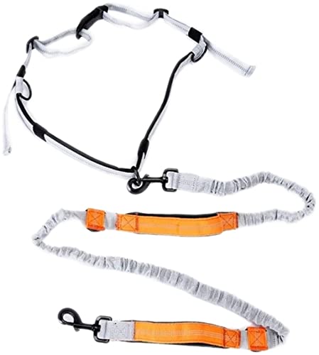 Hundeleine aus Nylon zum Laufen für Hunde, Produkte für Haustiere mit freien Händen, Halsband für Hunde, Blei-Hundeleine zum Laufen, weiche Hundeleine (Orange) von FENGJISUN