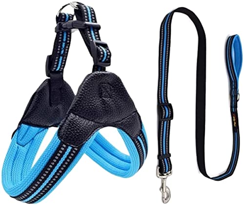 Hundeleine aus atmungsaktivem Nylon-Netz, verstellbar, reflektierend, für Hunde, verstellbare Hundeleine (Blau, 50-54 cm) von FENGJISUN