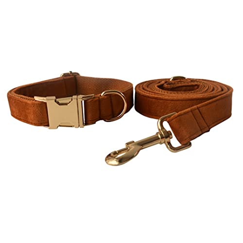 Hundeleine mit goldener Schnalle, Halsband für Haustiere, Sicherheits-Set mit Schnalle aus Legierung, für tägliches Training, Spaziergänge im Freien, weiche Hundeleine (20-3) von FENGJISUN