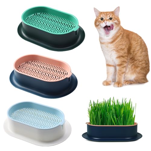 FENGQQKJ 3 Stück Katzengras Pflanzgefäß Katzenminze Katzengras Box Hydrokultur Katzengras Box Katzengras Tablett Katzengras Behälter Katzengras für Zimmerkatzen zum Pflanzen von Katzengras FENGQQKJ 3 Stück Katzengras Pflanzgefäß Katzenminze Katzengras Box Hydrokultur Katzengras Box Katzengras Tablett Katzengras Behälter Katzengras für Zimmerkatzen zum Pflanzen von Katzengras von FENGQQKJ