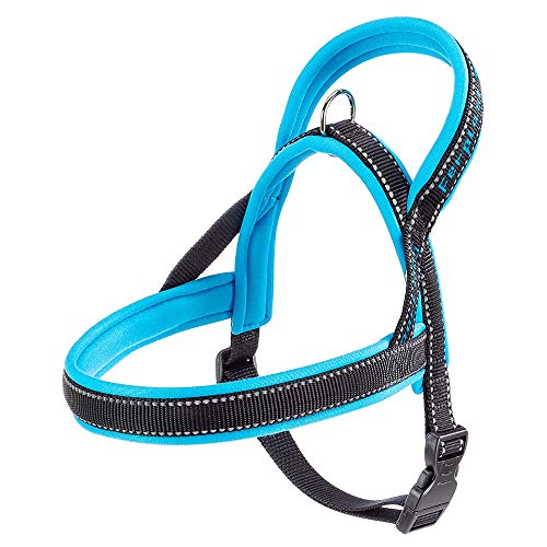 Ferplast Hundegeschirr im skandinavischen Stil SPORT DOG P SMALL, ausgezeichnete Passform, weiche Polsterung, reflektierende Nähte, Etikett für den Namen des Tiers, A: 48 cm - B: 58 ÷ 71 cm Blau von Ferplast