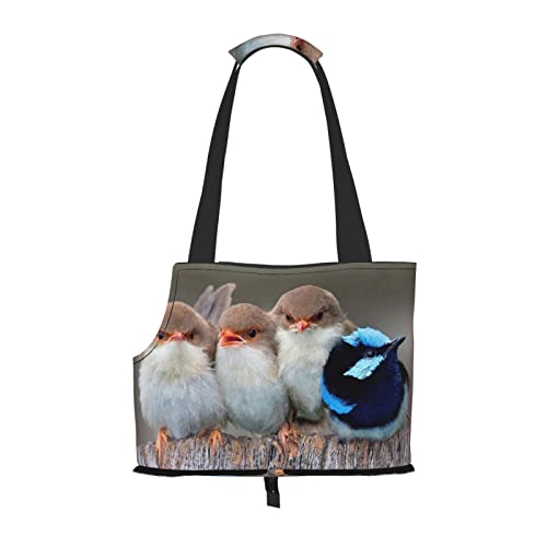 Faltbare Katzentragetasche für Hunde, Schultertasche mit vier Vögeln, wasserdicht, zusammenklappbar, für kleine Hunde, atmungsaktive Reisetasche mit Sicherheitshaken und Sichtfenster (34 x 36 x 15,5 Faltbare Katzentragetasche für Hunde, Schultertasche mit vier Vögeln, wasserdicht, zusammenklappbar, für kleine Hunde, atmungsaktive Reisetasche mit Sicherheitshaken und Sichtfenster (34 x 36 x 15,5 von FEYUNYAN
