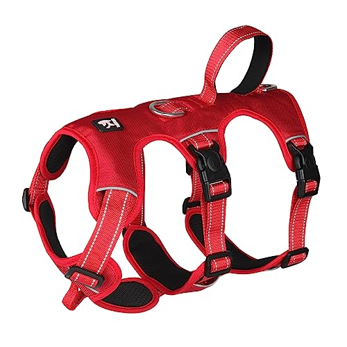 FEimaX Hundegeschirr Mittelgroße Hunde Anti Zug Brustgeschirr Verstellbar Reflektierend No Pull Geschirr Hund Weich Atmungsaktiv Sicherheitsgeschirr mit Steuergriff, Rot, M FEimaX Hundegeschirr Mittelgroße Hunde Anti Zug Brustgeschirr Verstellbar Reflektierend No Pull Geschirr Hund Weich Atmungsaktiv Sicherheitsgeschirr mit Steuergriff, Rot, M von FEimaX