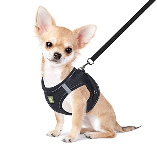 FEimaX Hundegeschirr mit Leine für Kleine Mittele Hunde Katzen Weich Mesh Welpengeschirr Atmungsaktive Brustgeschirr Verstellbare Reflektierend No Pull Weste Chihuahua Katze von FEimaX