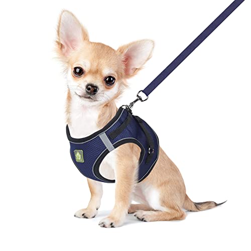 FEimaX Hundegeschirr mit Leine für Kleine Mittele Hunde Katzen Weich Mesh Welpengeschirr Atmungsaktive Brustgeschirr Verstellbare Reflektierend No Pull Weste Chihuahua Katze FEimaX Hundegeschirr mit Leine für Kleine Mittele Hunde Katzen Weich Mesh Welpengeschirr Atmungsaktive Brustgeschirr Verstellbare Reflektierend No Pull Weste Chihuahua Katze von FEimaX