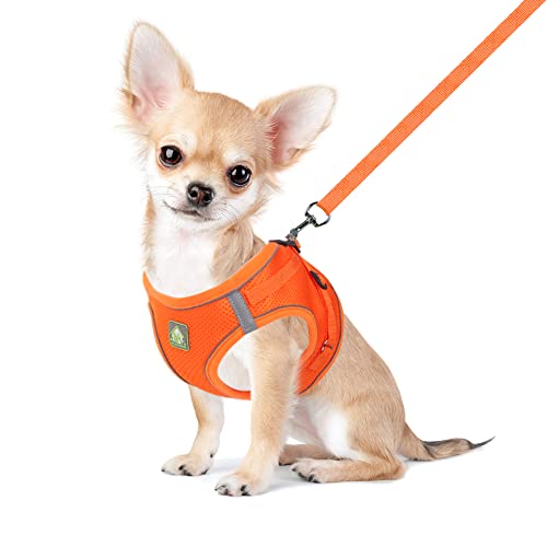 FEimaX Hundegeschirr mit Leine für Kleine Mittele Hunde Katzen Weich Mesh Welpengeschirr Atmungsaktive Brustgeschirr Verstellbare Reflektierend No Pull Weste Chihuahua Katze FEimaX Hundegeschirr mit Leine für Kleine Mittele Hunde Katzen Weich Mesh Welpengeschirr Atmungsaktive Brustgeschirr Verstellbare Reflektierend No Pull Weste Chihuahua Katze von FEimaX