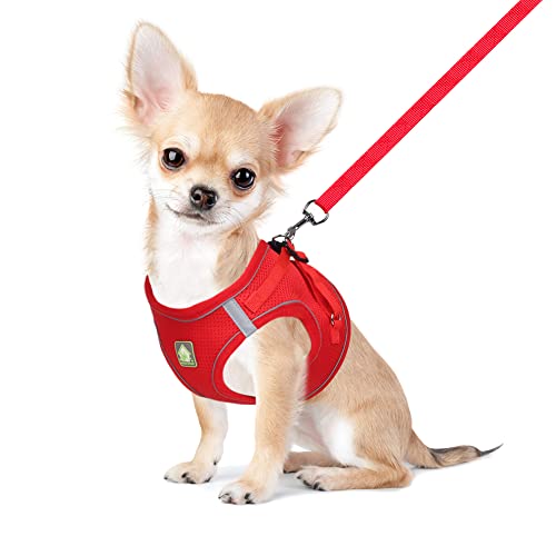 FEimaX Hundegeschirr mit Leine für Kleine Mittele Hunde Katzen Weich Mesh Welpengeschirr Atmungsaktive Brustgeschirr Verstellbare Reflektierend No Pull Weste Chihuahua Katze FEimaX Hundegeschirr mit Leine für Kleine Mittele Hunde Katzen Weich Mesh Welpengeschirr Atmungsaktive Brustgeschirr Verstellbare Reflektierend No Pull Weste Chihuahua Katze von FEimaX