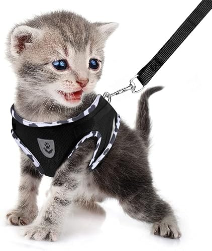 FEimaX Hundegeschirr und Leinen Set für Hunde, Weich Mesh Gepolstert Geschirr für Welpen und Katzen, Reflektierende Verstellbare Atmungsaktive Brustgeschirr für Gehen, Laufen, Training FEimaX Hundegeschirr und Leinen Set für Hunde, Weich Mesh Gepolstert Geschirr für Welpen und Katzen, Reflektierende Verstellbare Atmungsaktive Brustgeschirr für Gehen, Laufen, Training von FEimaX