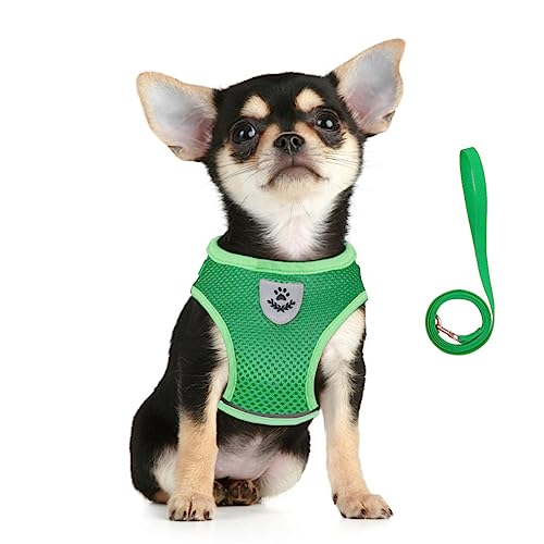 FEimaX Hundegeschirr und Leinen Set für Hunde, Weich Mesh Gepolstert Geschirr für Welpen und Katzen, Reflektierende Verstellbare Atmungsaktive Brustgeschirr für Gehen, Laufen, Training FEimaX Hundegeschirr und Leinen Set für Hunde, Weich Mesh Gepolstert Geschirr für Welpen und Katzen, Reflektierende Verstellbare Atmungsaktive Brustgeschirr für Gehen, Laufen, Training von FEimaX