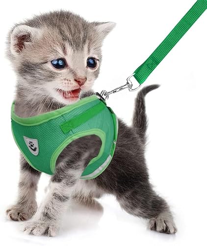 FEimaX Hundegeschirr und Leinen Set für Hunde, Weich Mesh Gepolstert Geschirr für Welpen und Katzen, Reflektierende Verstellbare Atmungsaktive Brustgeschirr für Gehen, Laufen, Training FEimaX Hundegeschirr und Leinen Set für Hunde, Weich Mesh Gepolstert Geschirr für Welpen und Katzen, Reflektierende Verstellbare Atmungsaktive Brustgeschirr für Gehen, Laufen, Training von FEimaX