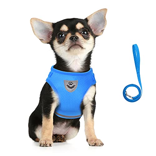 FEimaX Hundegeschirr und Leinen Set für Hunde, Weich Mesh Gepolstert Geschirr für Welpen und Katzen, Reflektierende Verstellbare Atmungsaktive Brustgeschirr für Gehen, Laufen, Training FEimaX Hundegeschirr und Leinen Set für Hunde, Weich Mesh Gepolstert Geschirr für Welpen und Katzen, Reflektierende Verstellbare Atmungsaktive Brustgeschirr für Gehen, Laufen, Training von FEimaX