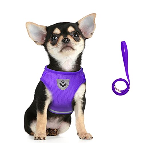 FEimaX Hundegeschirr und Leinen Set für Hunde, Weich Mesh Gepolstert Geschirr für Welpen und Katzen, Reflektierende Verstellbare Atmungsaktive Brustgeschirr für Gehen, Laufen, Training FEimaX Hundegeschirr und Leinen Set für Hunde, Weich Mesh Gepolstert Geschirr für Welpen und Katzen, Reflektierende Verstellbare Atmungsaktive Brustgeschirr für Gehen, Laufen, Training von FEimaX