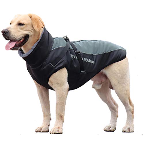 FEimaX Hundemantel Winterjacke für Hunde, Hundejacke Wasserdicht mit Weiche Plüsch Winter Warme Mantel Reflektierend Welpen Weste Haustier Kleidung für kleine Mittlere Große Hunde FEimaX Hundemantel Winterjacke für Hunde, Hundejacke Wasserdicht mit Weiche Plüsch Winter Warme Mantel Reflektierend Welpen Weste Haustier Kleidung für kleine Mittlere Große Hunde von FEimaX