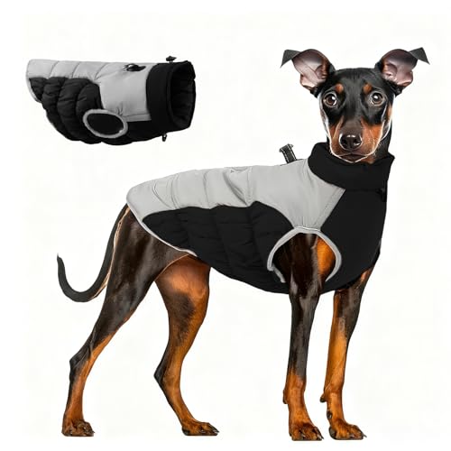 FEimaX Hundmantel Wasserdicht Winter Hundebekleidung mit Geschirr Reflektierende Winterweste für Kleine Mittelgroße Hunde Verstellbare Winddichter Wintermäntel Kaltes Wetter Haustier Kleidung von FEimaX