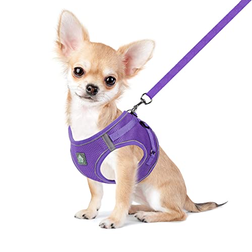 FEimaX Hundegeschirr mit Leine für Kleine Mittele Hunde Katzen Weich Mesh Welpengeschirr Atmungsaktive Brustgeschirr Verstellbare Reflektierend No Pull Weste Chihuahua Katze FEimaX Hundegeschirr mit Leine für Kleine Mittele Hunde Katzen Weich Mesh Welpengeschirr Atmungsaktive Brustgeschirr Verstellbare Reflektierend No Pull Weste Chihuahua Katze von FEimaX