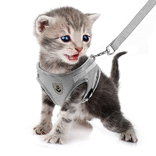 FEimaX Katzengeschirr Geschirr mit Leine Ausbruchsicher Weich Mesh Welpengeschirr Reflektierend Verstellbar Katzen Weste für Kleine Hunde Katzen Chihuahua FEimaX Katzengeschirr Geschirr mit Leine Ausbruchsicher Weich Mesh Welpengeschirr Reflektierend Verstellbar Katzen Weste für Kleine Hunde Katzen Chihuahua von FEimaX