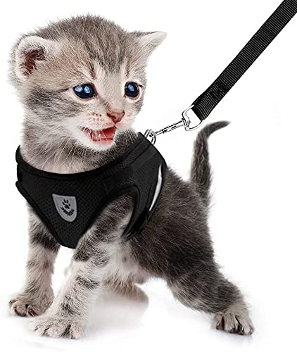 FEimaX Katzengeschirr Geschirr mit Leine Ausbruchsicher Weich Mesh Welpengeschirr Reflektierend Verstellbar Katzen Weste für Kleine Hunde Katzen Chihuahua FEimaX Katzengeschirr Geschirr mit Leine Ausbruchsicher Weich Mesh Welpengeschirr Reflektierend Verstellbar Katzen Weste für Kleine Hunde Katzen Chihuahua von FEimaX