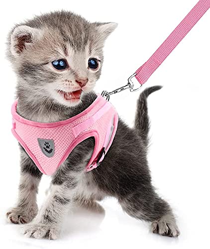 FEimaX Katzengeschirr Hundegeschirr mit Leine Ausbruchsicher Weich Mesh Welpengeschirr Reflektierende Verstellbare Katzen Weste für Kleine Hunde Katzen Chihuahua FEimaX Katzengeschirr Hundegeschirr mit Leine Ausbruchsicher Weich Mesh Welpengeschirr Reflektierende Verstellbare Katzen Weste für Kleine Hunde Katzen Chihuahua von FEimaX