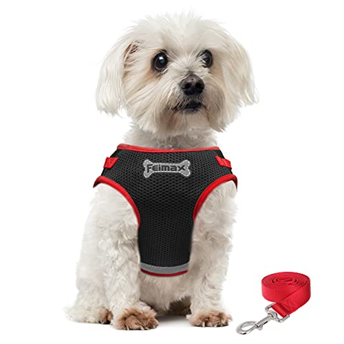FEimaX Hundegeschirr mit Leine für Hunde No Pull Weich Geschirr Verstellbare Welpengeshicrr Reflektierende Katzenweste für Kleine Mittele Hunde Katzen von FEimaX