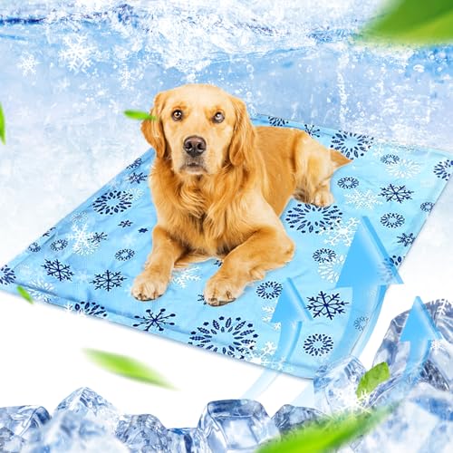 FFTANXS Kühlmatte Hund Wassereinspritzung 50×60 cm,Kühldecke Hund,Kühlmatte für Katzen,Kühldecke für Katzen mit ungiftiges Gel,Für Drinnen und draußen,Kühldecke Geeignet für Kätzchen und Welpen von FFTANXS