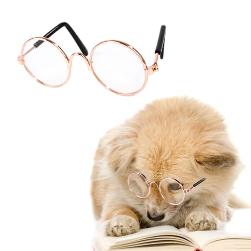 FFWTPY Sonnenbrillen für Hunde Katzen UV-Schutz Motorradbrille Runde Haustierbrille Mode Lustige für Cosplay Partys Kostüm Foto Requisiten (Farblos) von FFWTPY