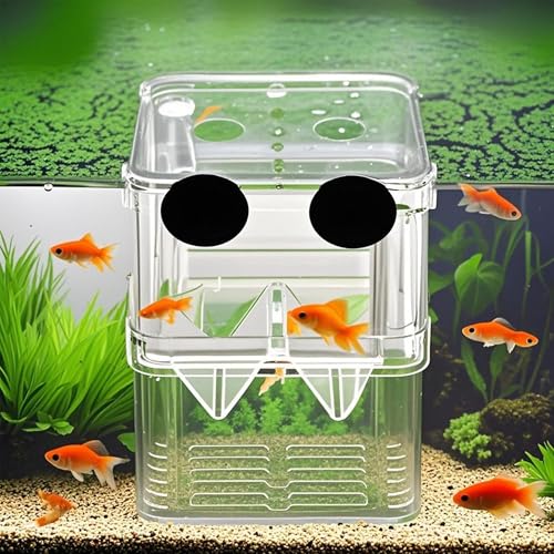 FGXY Aufzuchtbecken Aquarium, Aquarium Zucht Isolation Box, Züchter Isolation Divider Brutkasten, Multifunktional, Für Guppy Garnelen Mollys, Aquarium Babybecken Isolationskiste Jungfiisch von FGXY