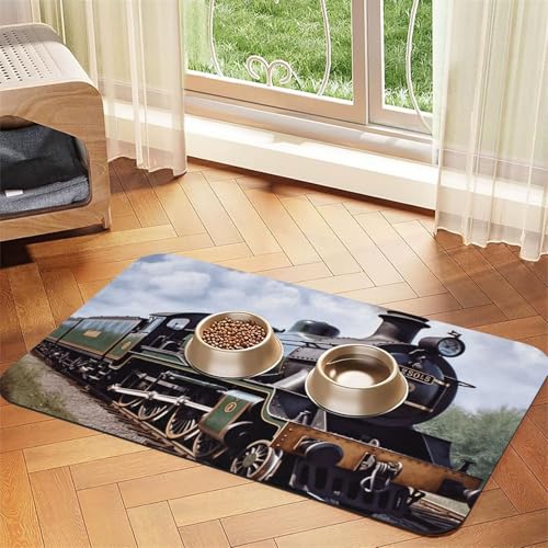 Dampflokomotive Zug Haustier Futtermatte 30 x 45 cm, saugfähige Hundematte für Futter und Wassernapf, PU-Leder Katzenfuttermatte, wasserdichte Hundenapf-Matten, schnell trocknend, Haustier-Platzsets Dampflokomotive Zug Haustier Futtermatte 30 x 45 cm, saugfähige Hundematte für Futter und Wassernapf, PU-Leder Katzenfuttermatte, wasserdichte Hundenapf-Matten, schnell trocknend, Haustier-Platzsets von FHEBNDS