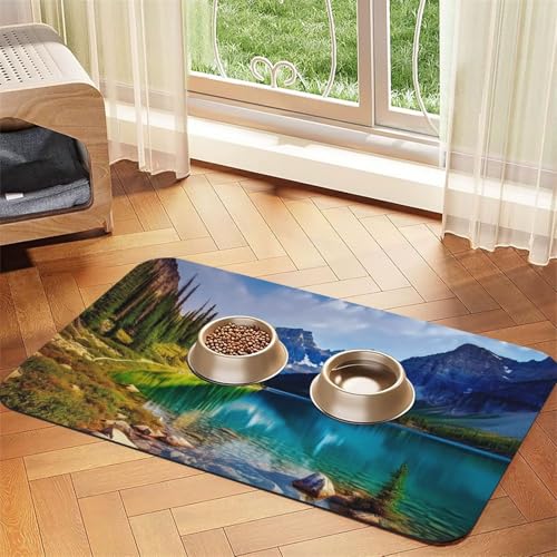 Futtermatte für Haustiere, 40 x 60 cm, saugfähige Hundematte für Futter und Wassernapf, PU-Leder, Katzenfuttermatte, wasserdicht, schnell trocknend, keine Flecken Futtermatte für Haustiere, 40 x 60 cm, saugfähige Hundematte für Futter und Wassernapf, PU-Leder, Katzenfuttermatte, wasserdicht, schnell trocknend, keine Flecken von FHEBNDS